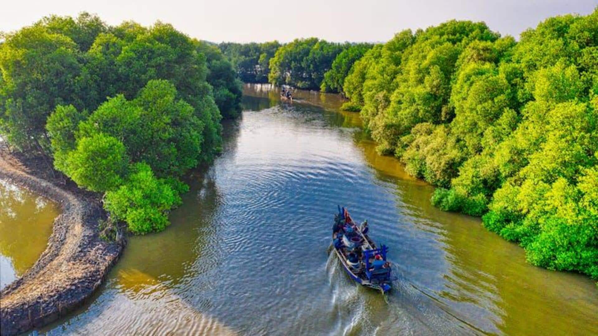 Menjelajahi Mangrove Indonesia dengan Kayak Menjelajahi Mangrove Indonesia dengan Kayak