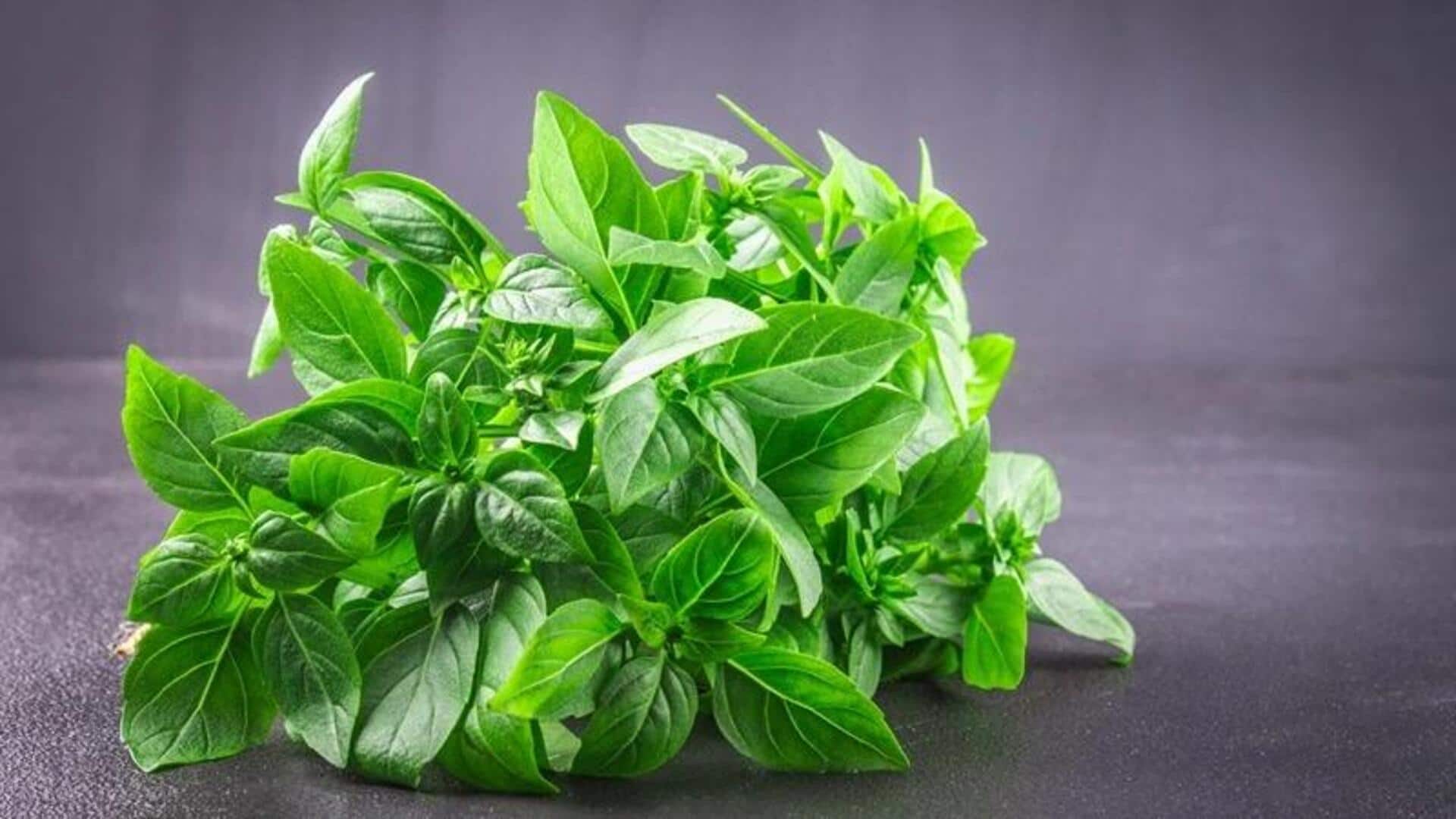 Cara Mengejutkan Menggunakan Kemangi Selain untuk Membuat Pesto