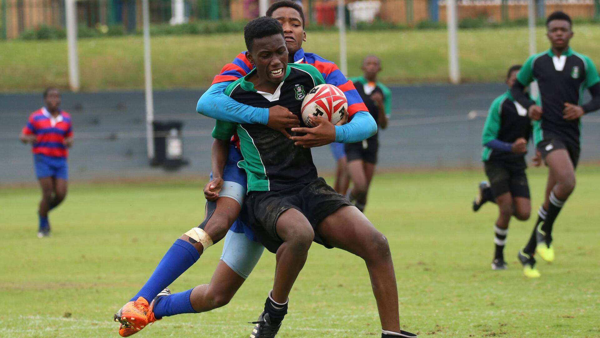 Memahami makna Haka dalam pertandingan rugby