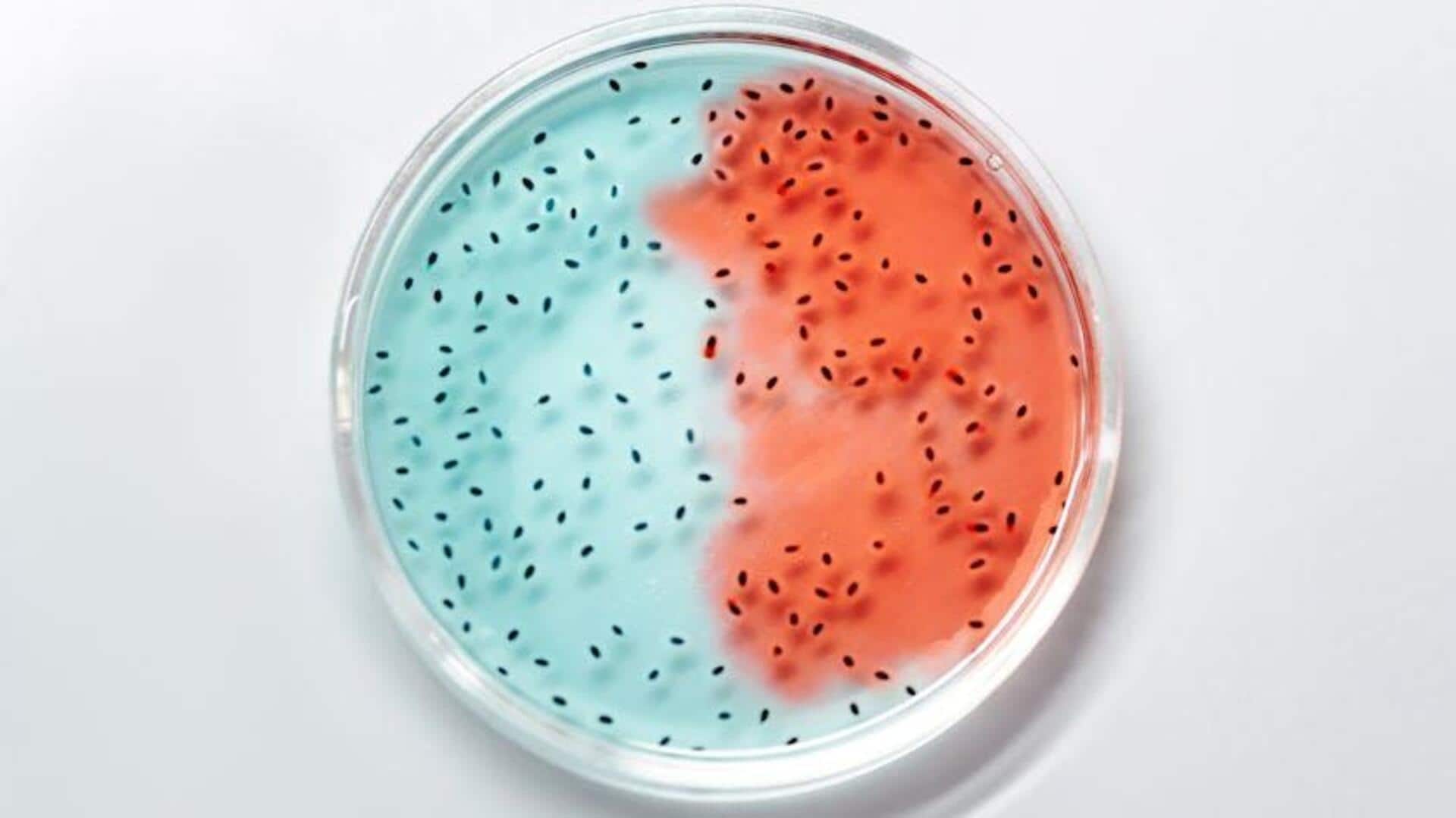 Peran Tak Terduga Mikroba dalam Inovasi Digital