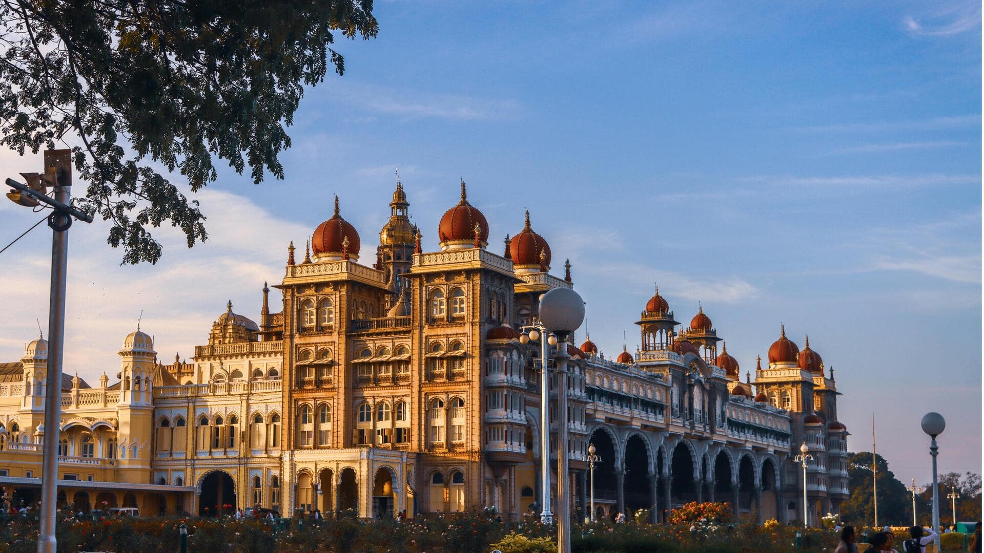 Menjelajahi Keindahan Hutan Cendana di Mysore, India