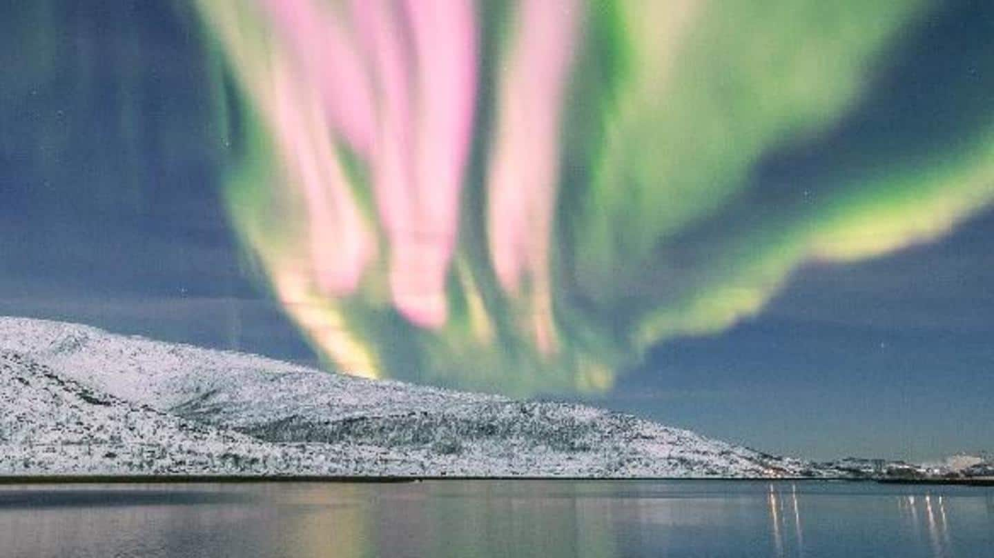 Aurora merah muda yang memesona terlihat di langit Norwegia: Coba lihat