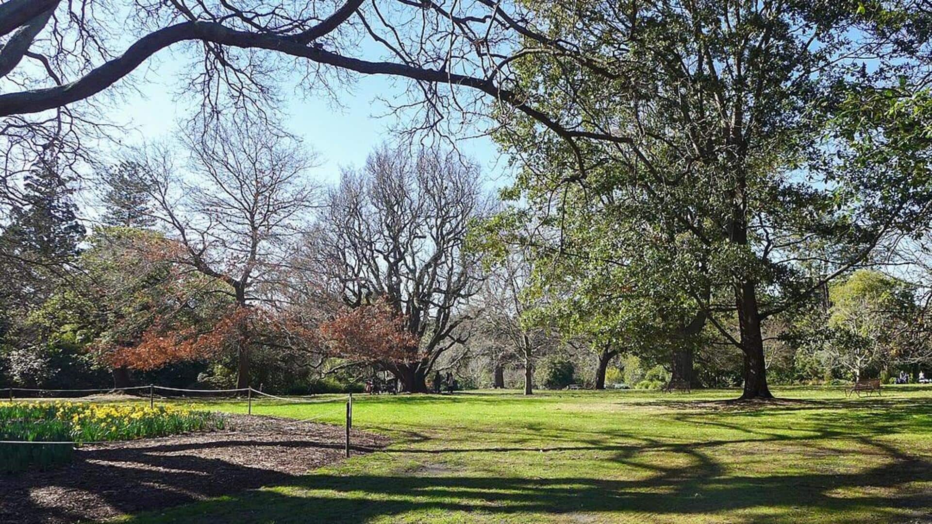Temukan Tumbuhan Asli Melbourne di Royal Botanic Gardens