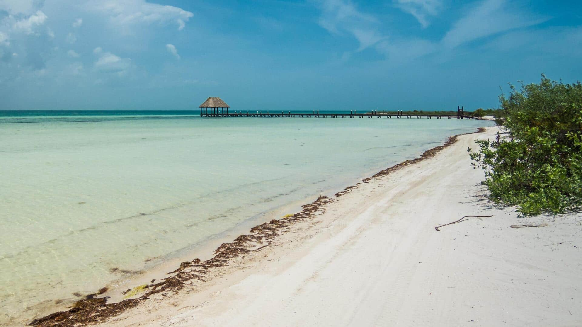 Menikmati pantai bioluminescent di Pulau Holbox, Meksiko