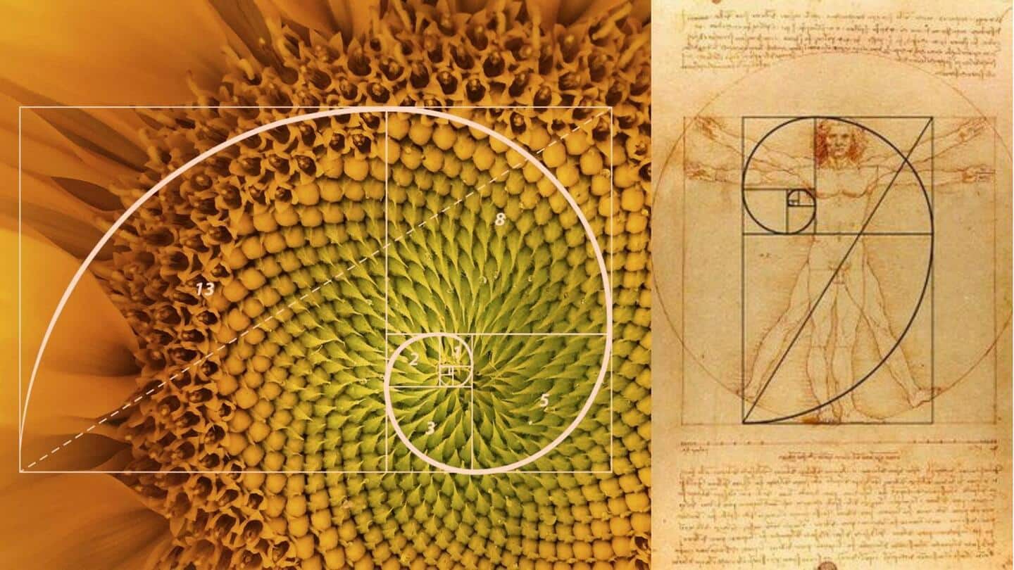 Hari Matematika Internasional: Menjelajahi deret Fibonacci pada alam dan seni