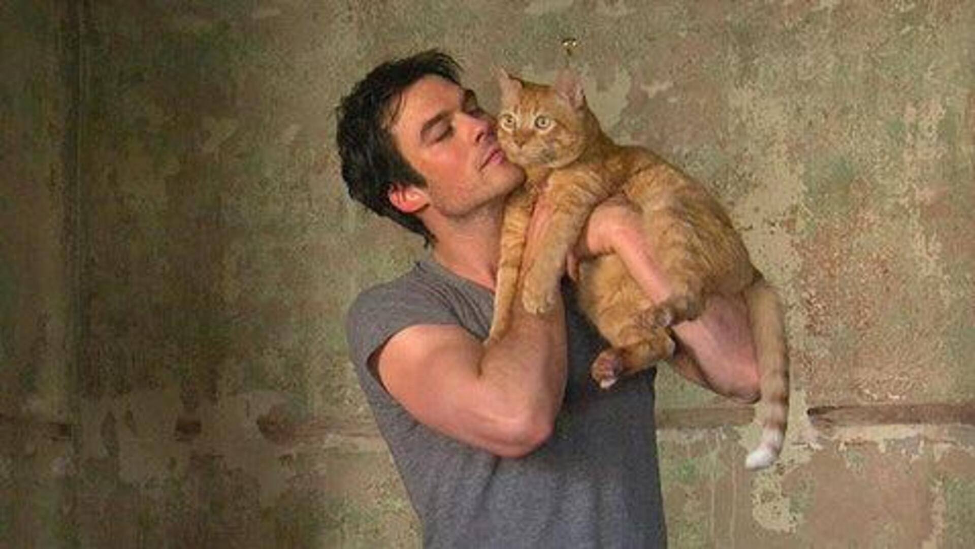 Fakta menarik tentang hewan peliharaan bintang Hollywood untuk penggemar film Indonesia