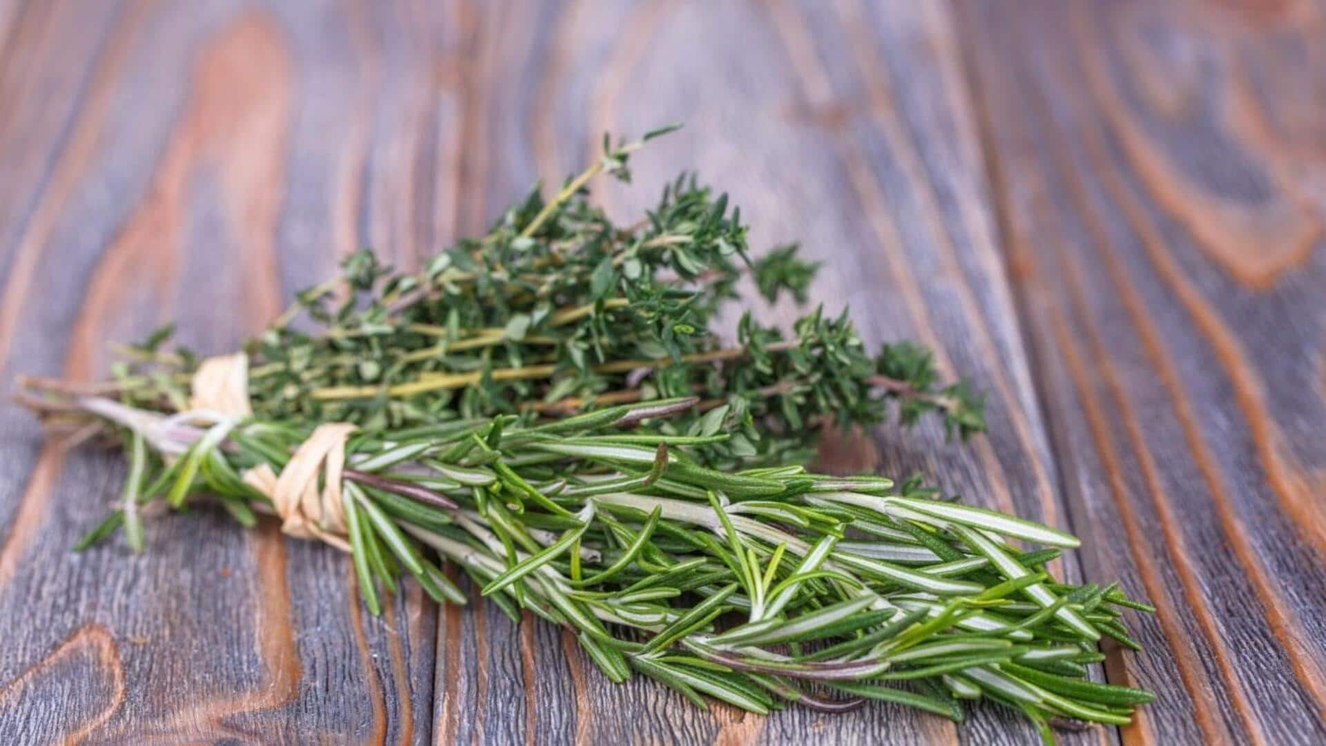 Maksimalkan Cita Rasa Hidangan dengan Kombinasi Herbal yang Tak Terduga