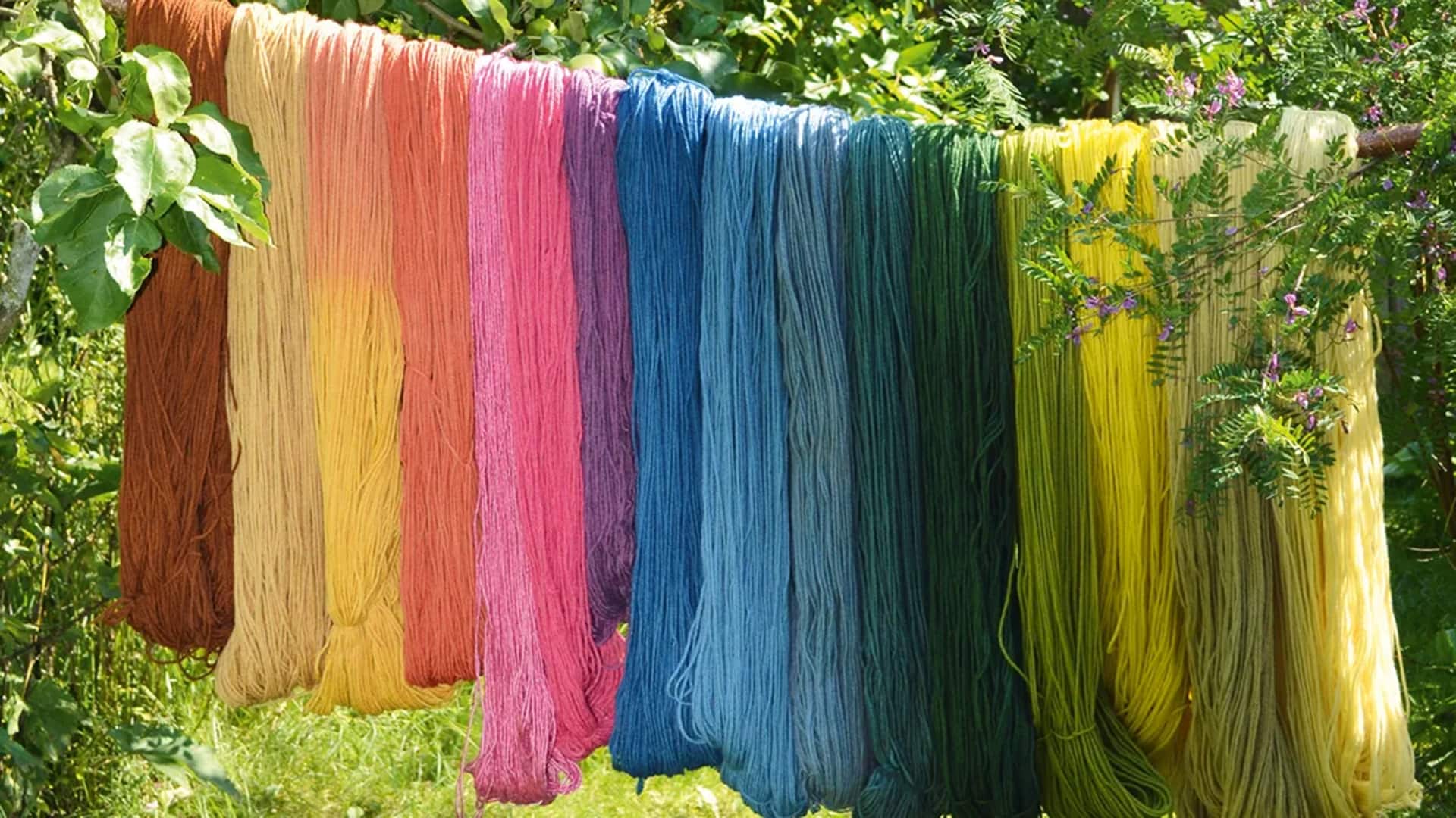 Pewarnaan alami: Menghidupkan tren mode ramah lingkungan