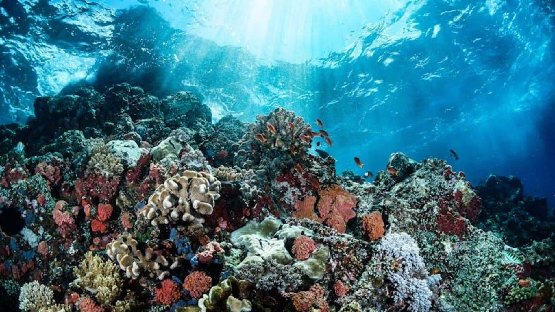 Teknologi Pembersihan Laut Mengubah Pengelolaan Polusi