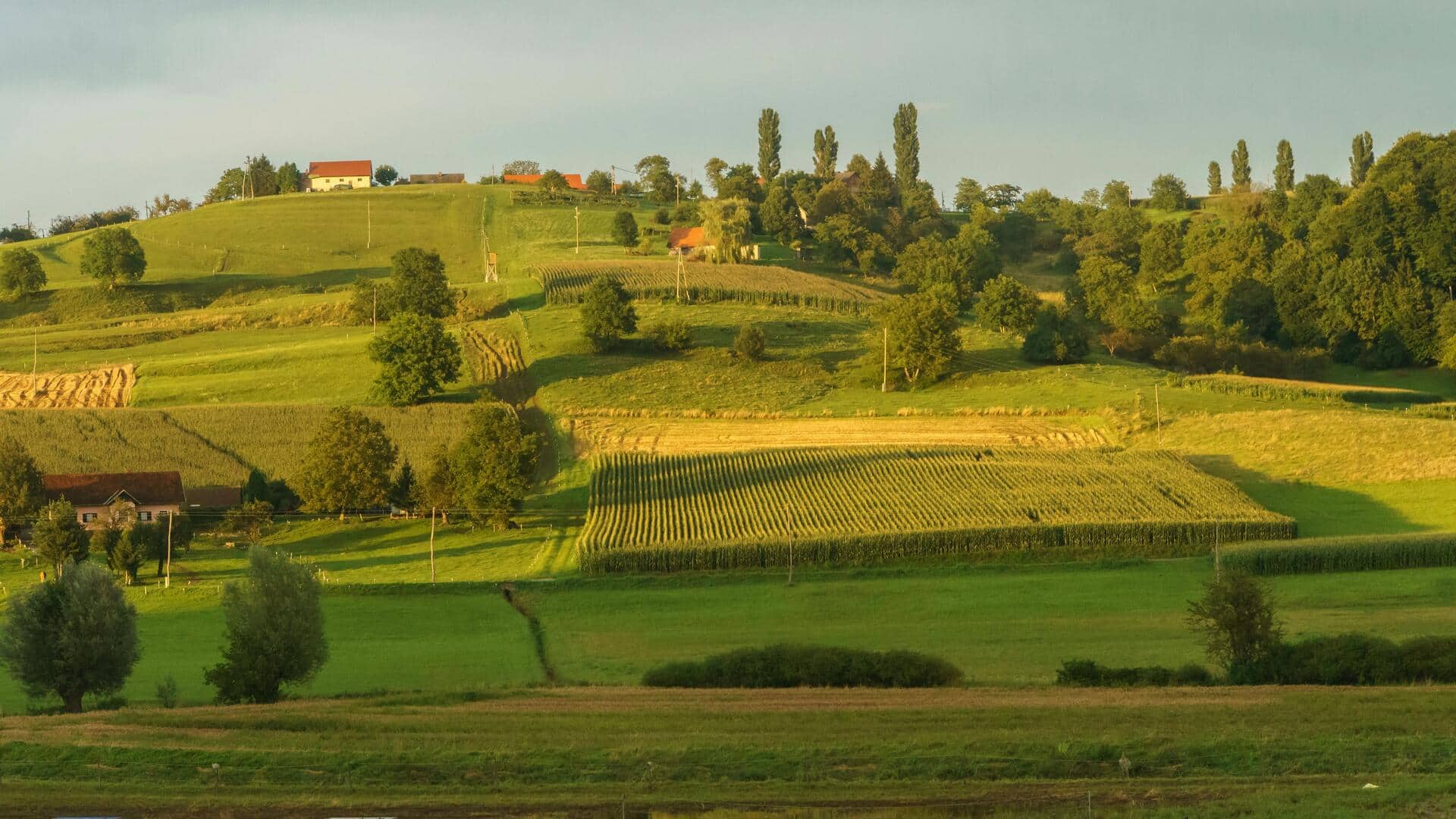 Menjelajahi Rute dan Kebun Anggur Slovenia