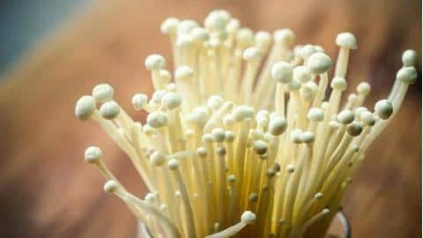 Apa itu jamur enoki? (dan 5 resep yang bisa Anda coba)