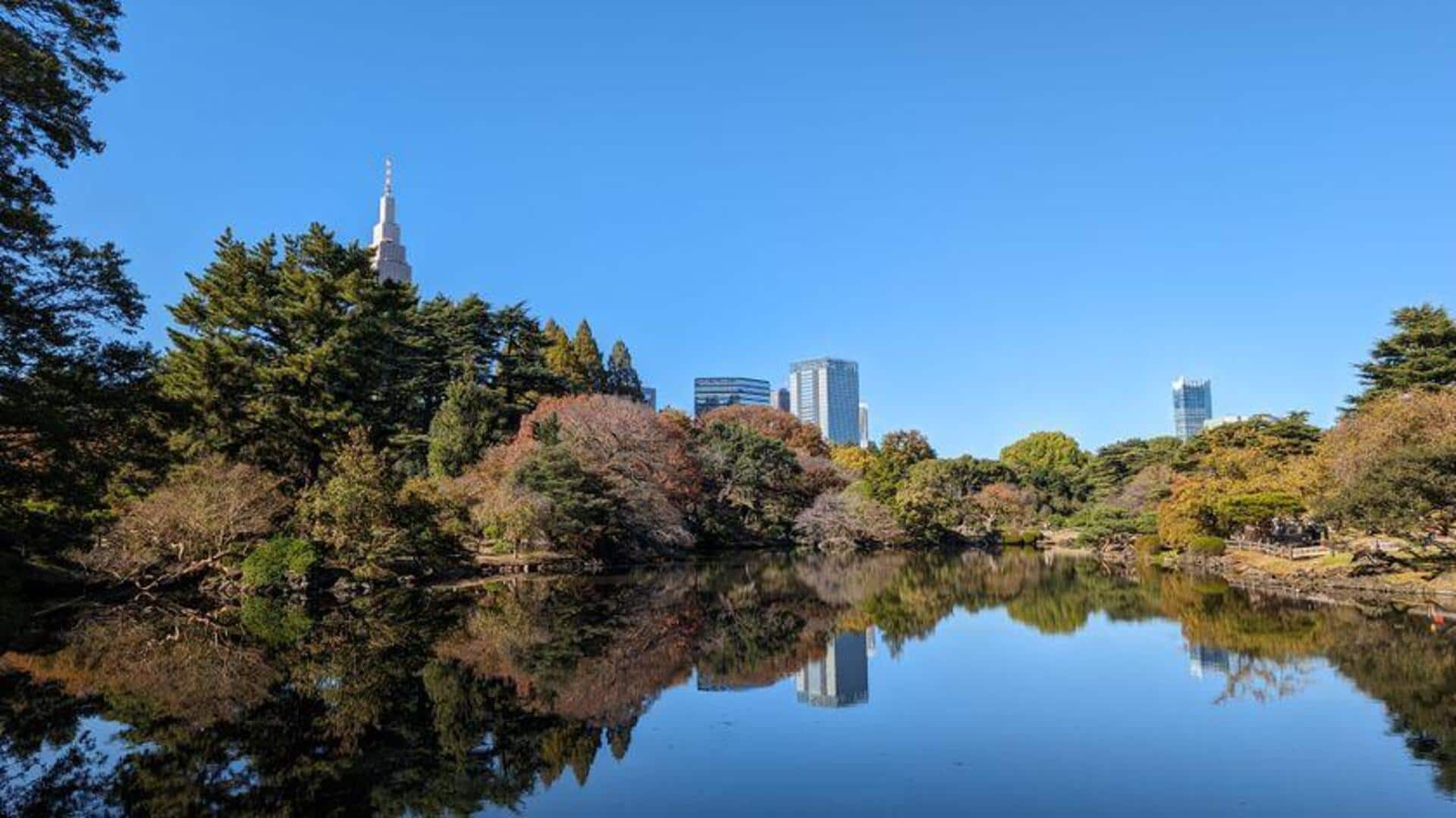 Jalan-Jalan Santai di Tokyo yang Tenang