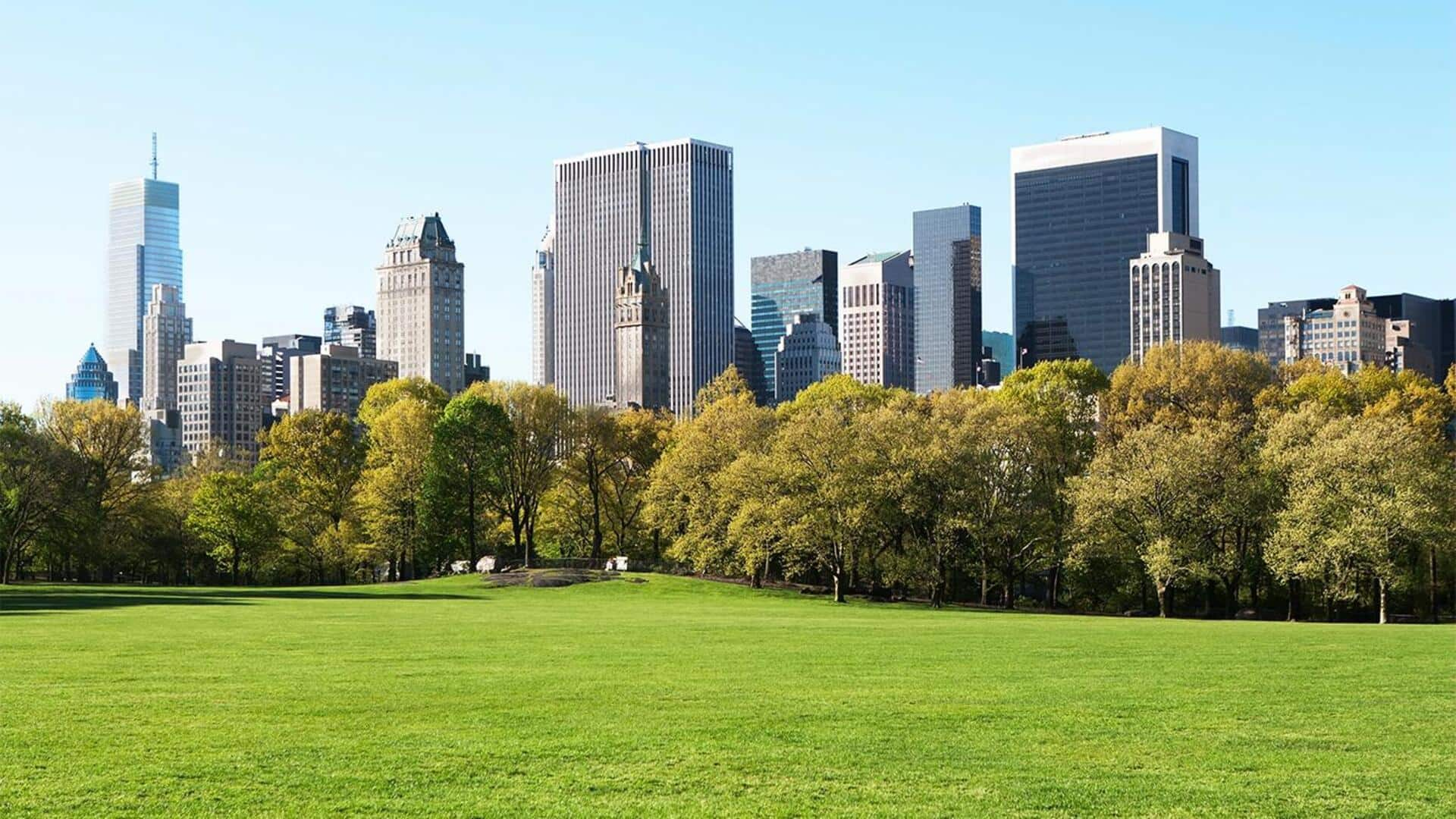 Waktu Terbaik Untuk Mengunjungi New York City