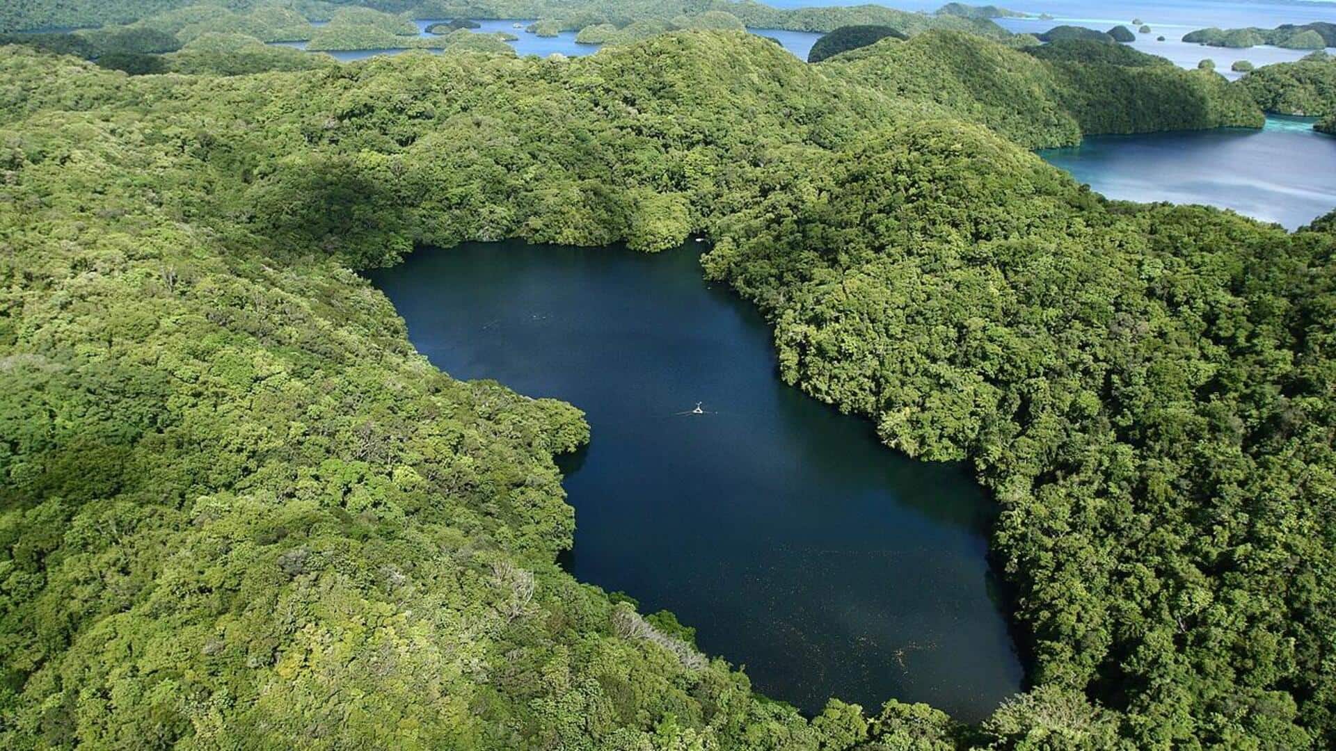 Harta Karun Tersembunyi di Palau: 5 Tempat Wajib Kunjungi
