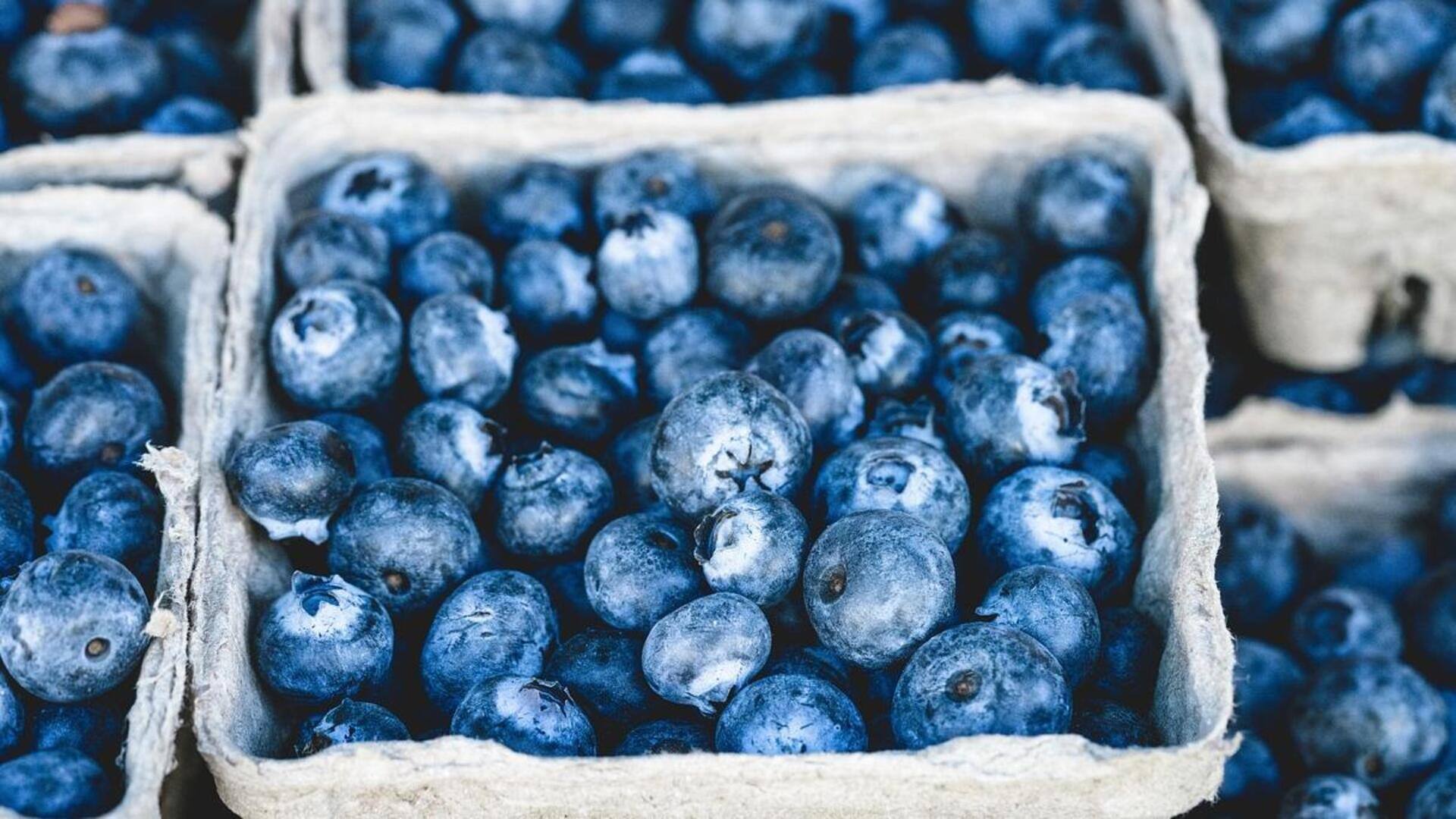 Blueberry terberat di dunia dengan berat 20,4 gram mendapatkan Guinness World Record 