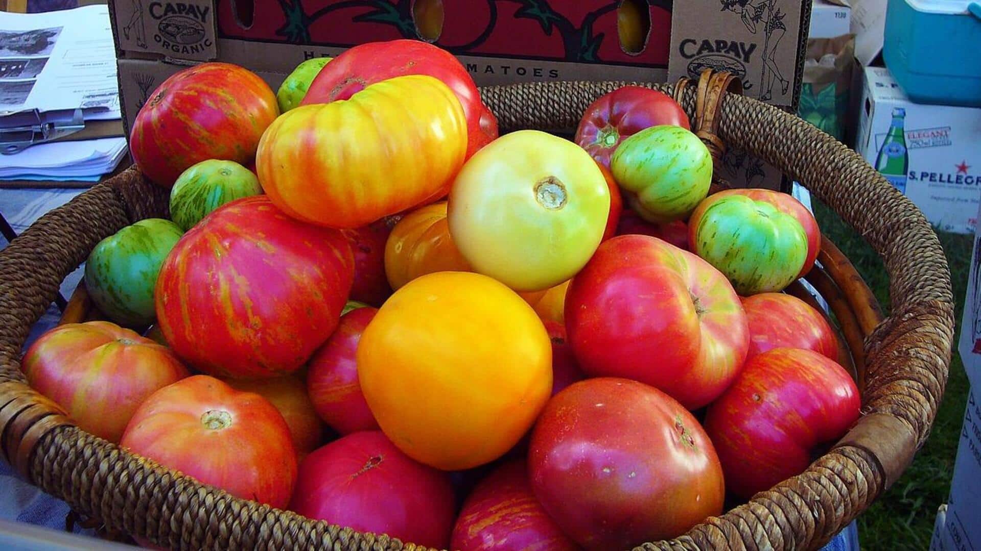 Cara Menanam Tomat Mawar di Ruang Kecil