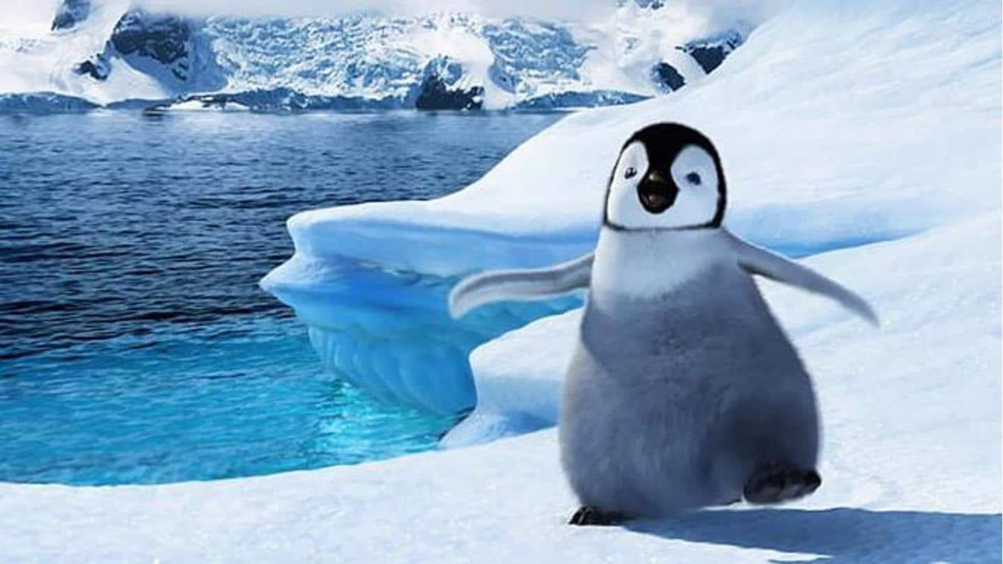 'Happy Feet' (2006) 'Happy Feet' (2006)