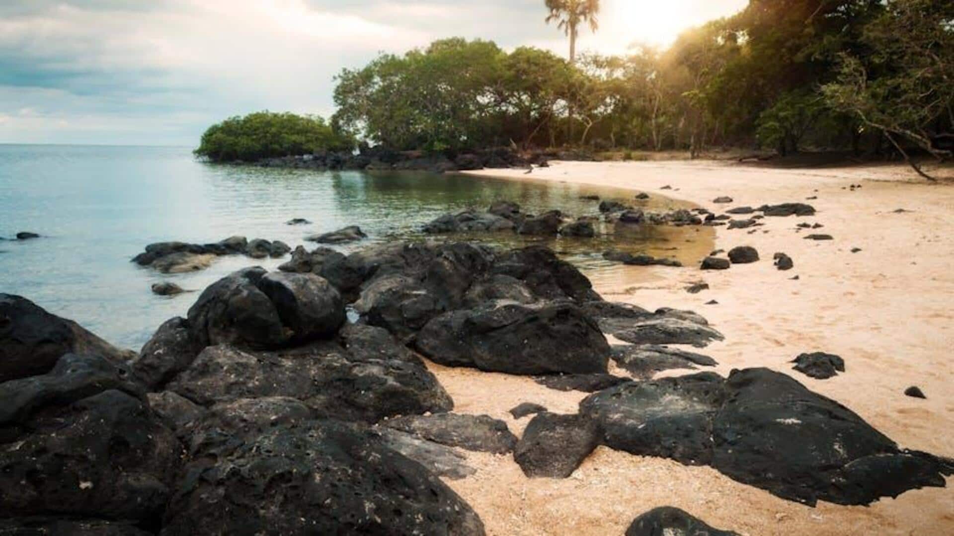 Pantai Tersembunyi di Jawa untuk Relaksasi Pantai Tersembunyi di Jawa untuk Relaksasi