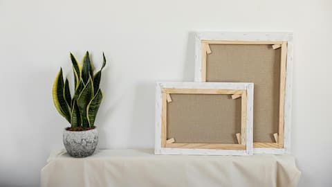 Lima Tanaman Hias untuk Mengatur Kelembapan Dalam Ruangan