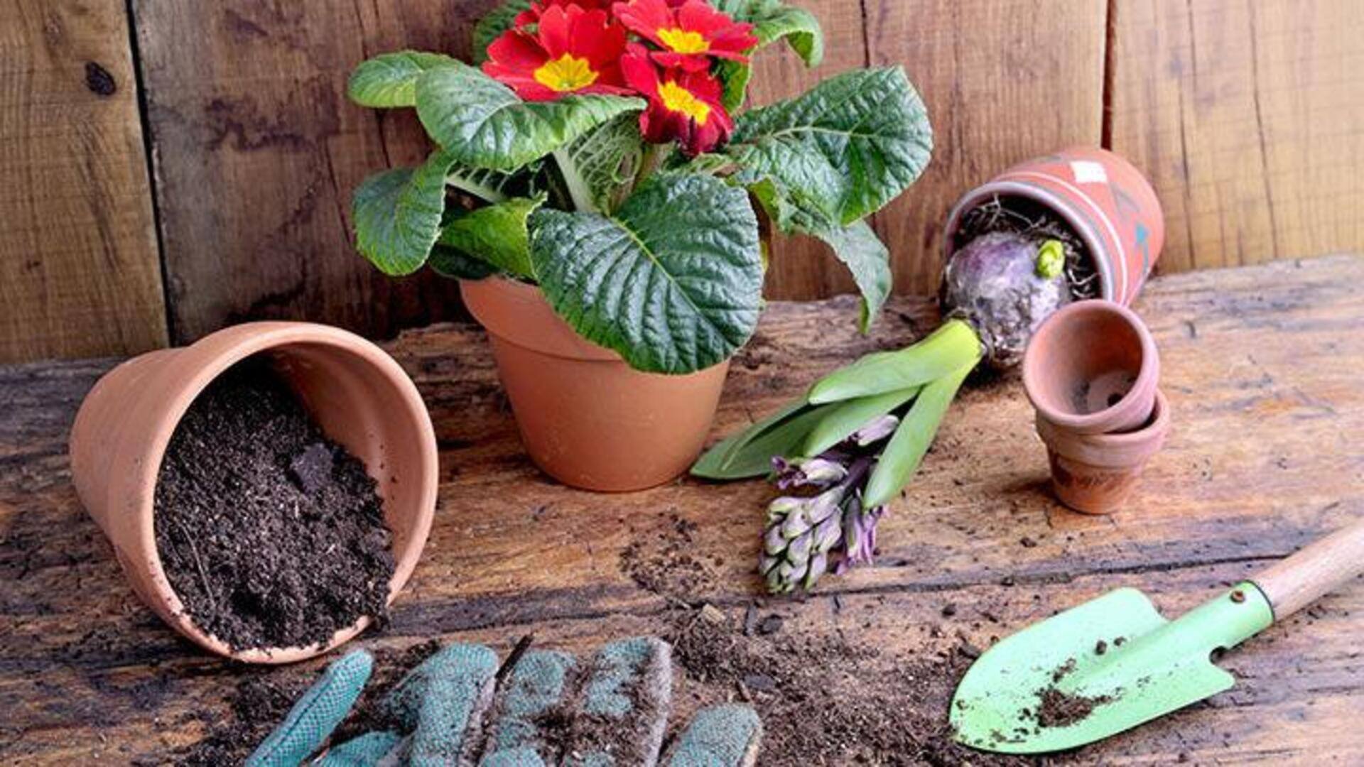 Ubah pot pecah menjadi penanda tanaman kreatif