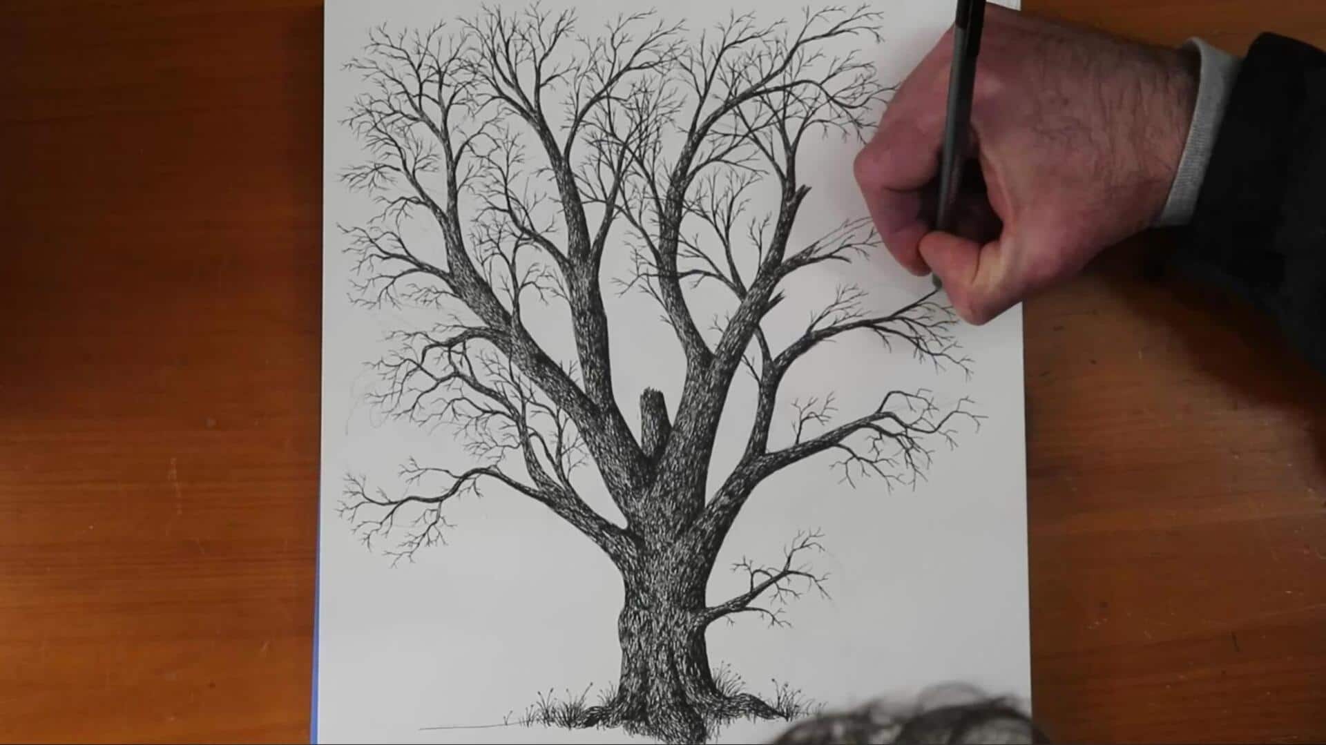 Tips untuk Menggambar Pohon dengan Tekstur Kulit yang Realistis