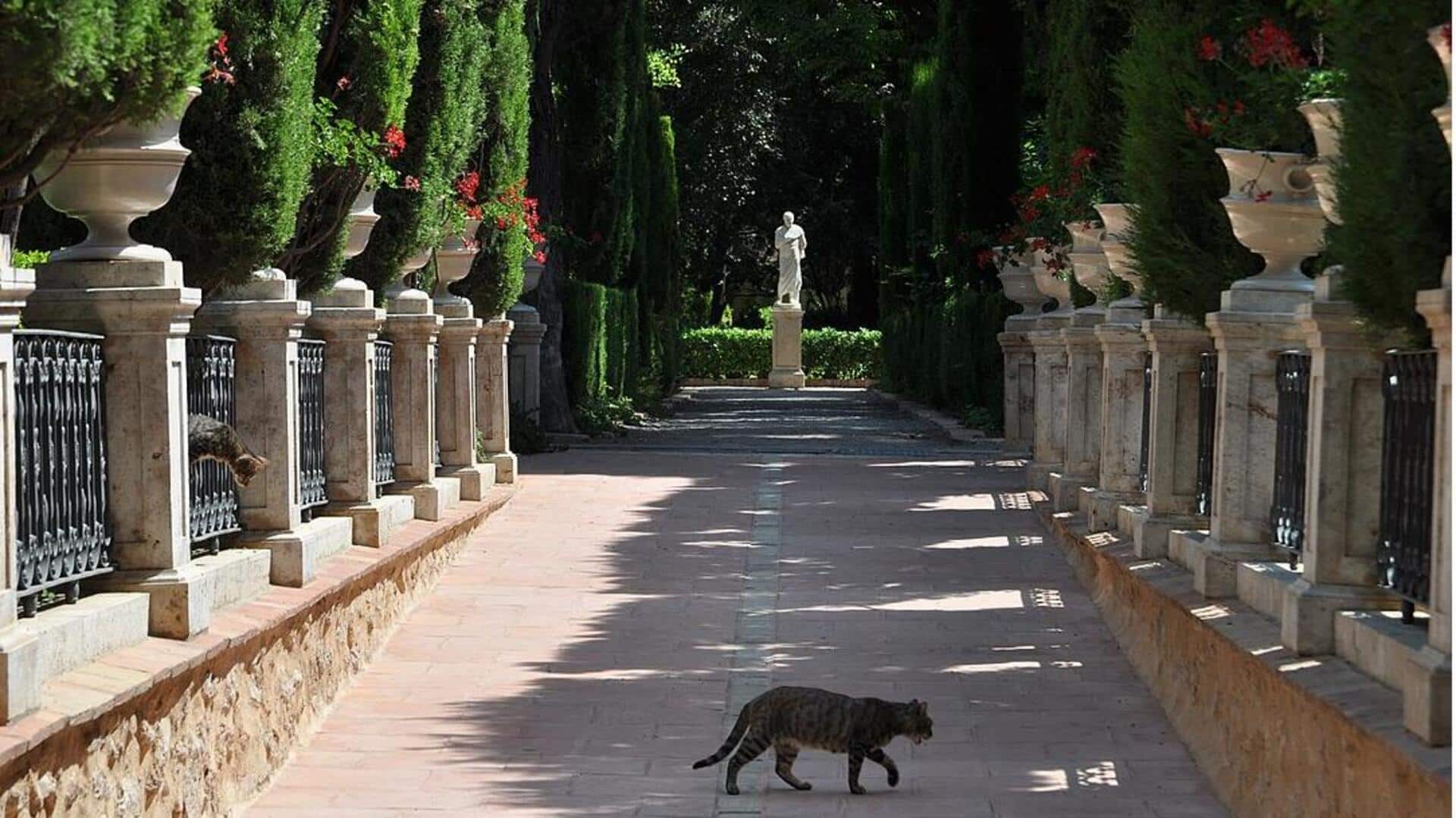 Menikmati Taman Hijau Valencia Menikmati Taman Hijau Valencia