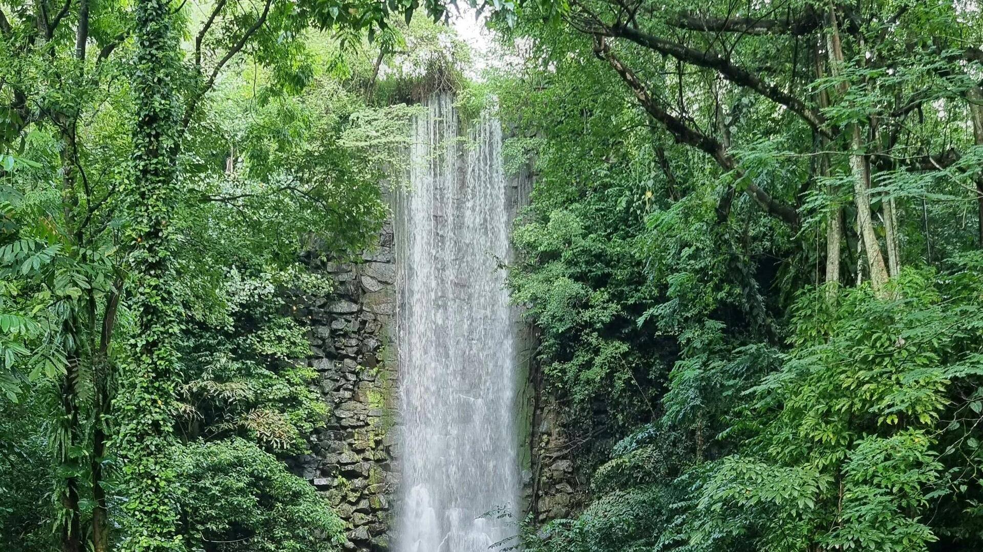 Mengapa Taman Burung Jurong Layak Dikunjungi Hari Ini