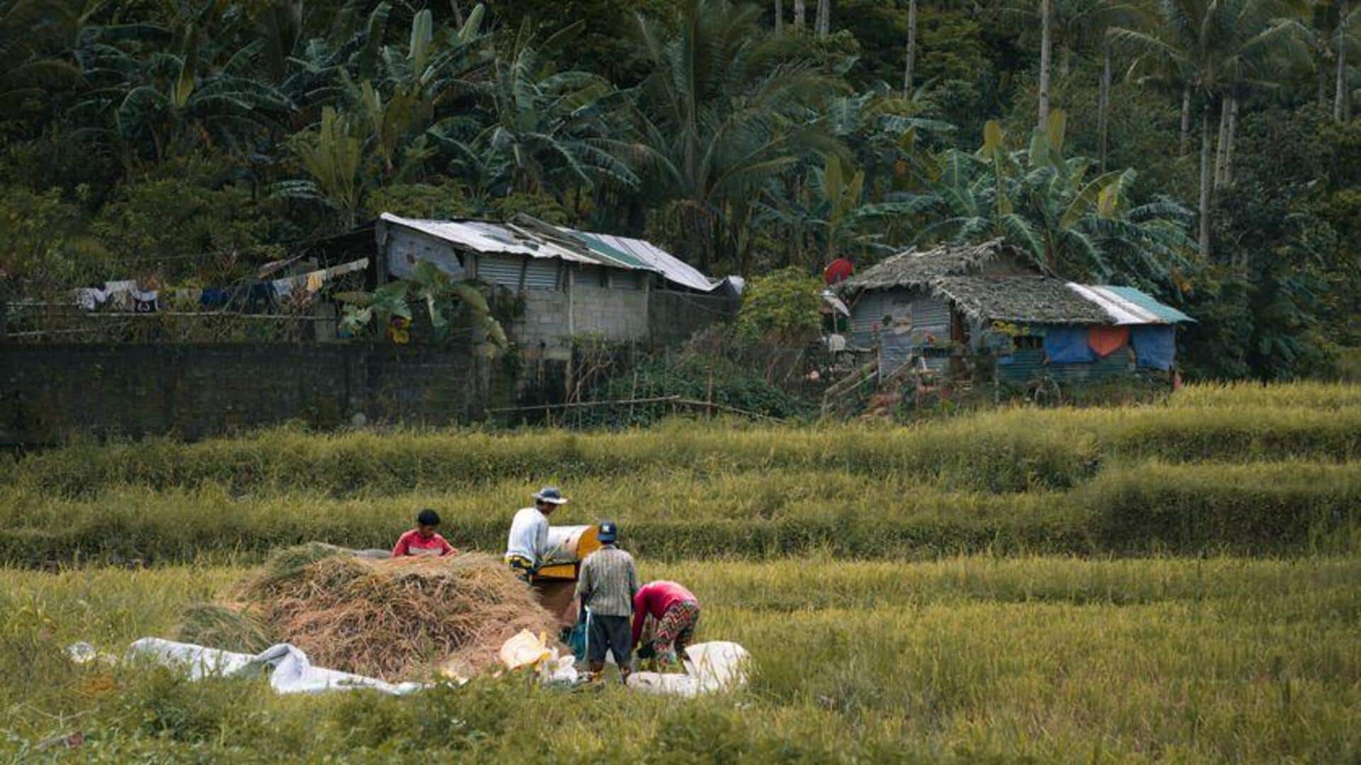 Teknologi Sensor Biodegradable dalam Pertanian