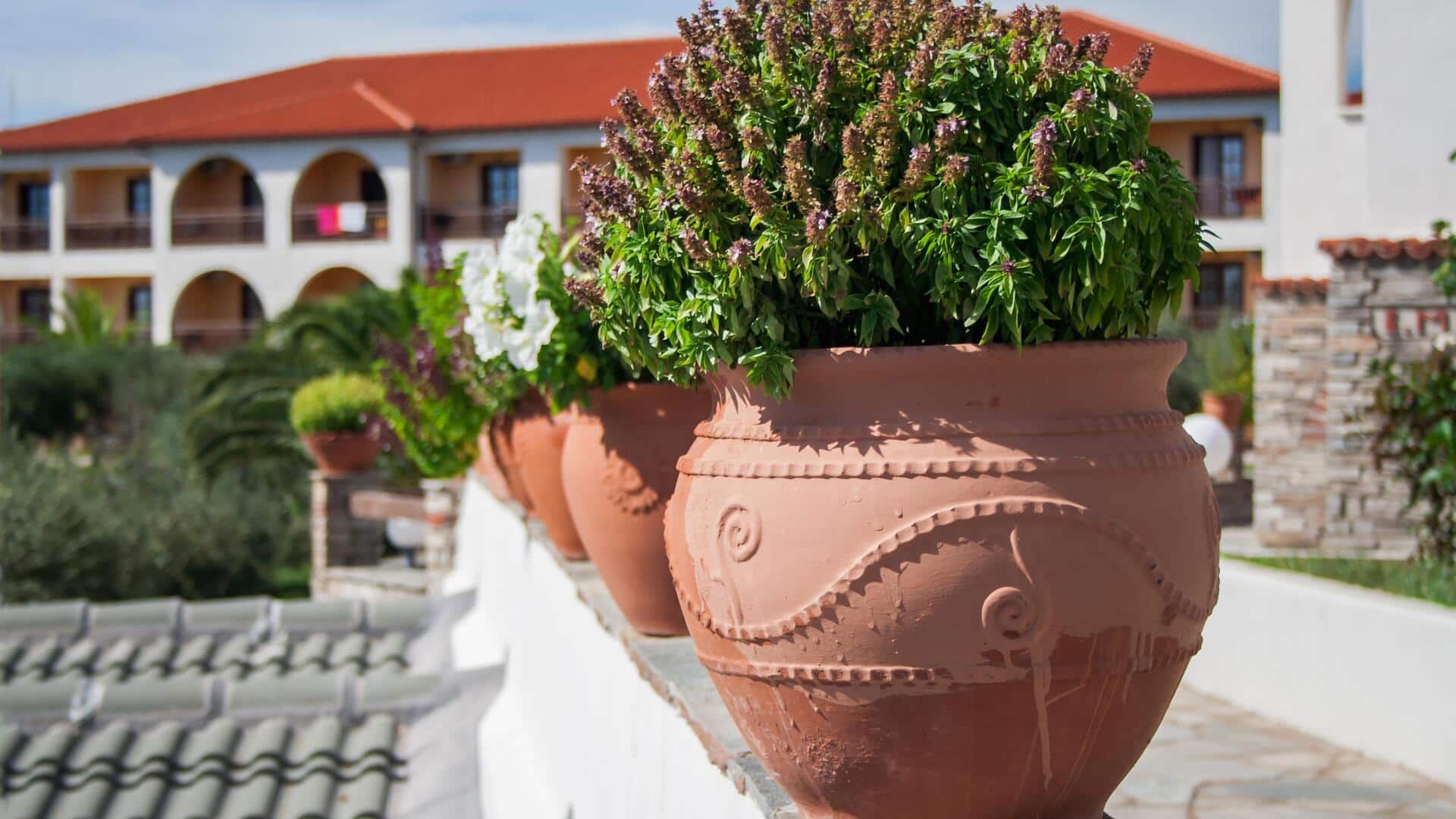 Pot tanah liat: Lima cara cerdas untuk mengatur rumah