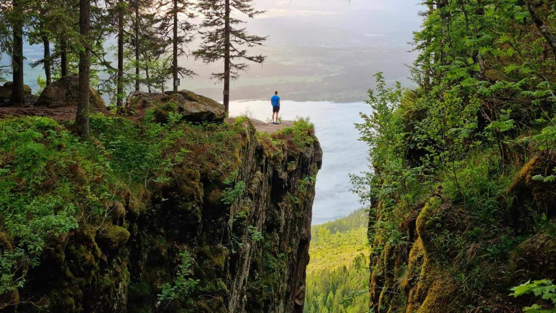 Lima Jalur Hutan Tersembunyi Di Oslo