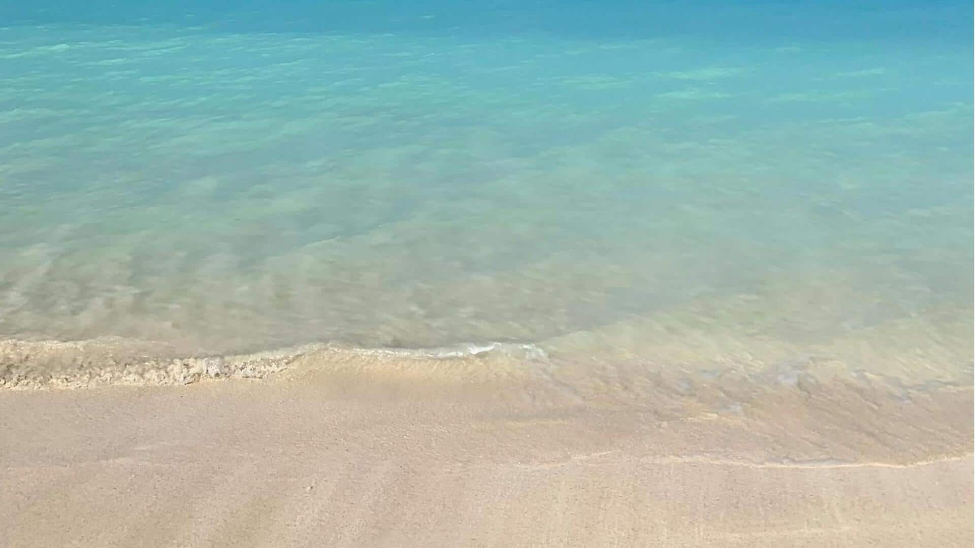 Menikmati Pantai Pasir Merah Muda di Barbuda, Karibia