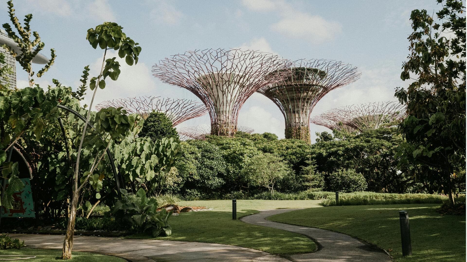 Lima Kebun Botani yang Wajib Dikunjungi di Singapura