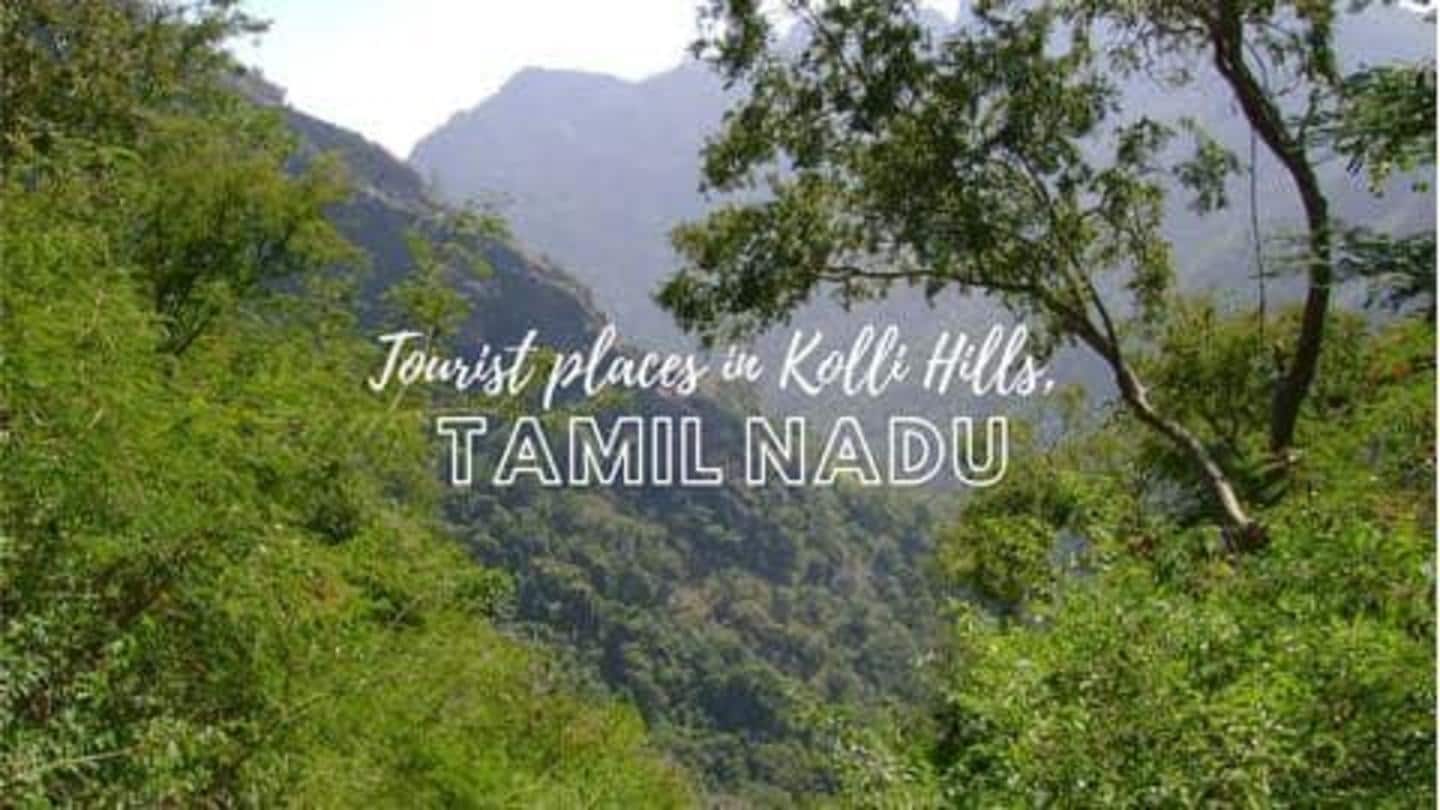 5 objek wisata populer di Kolli Hills, Tamil Nadu