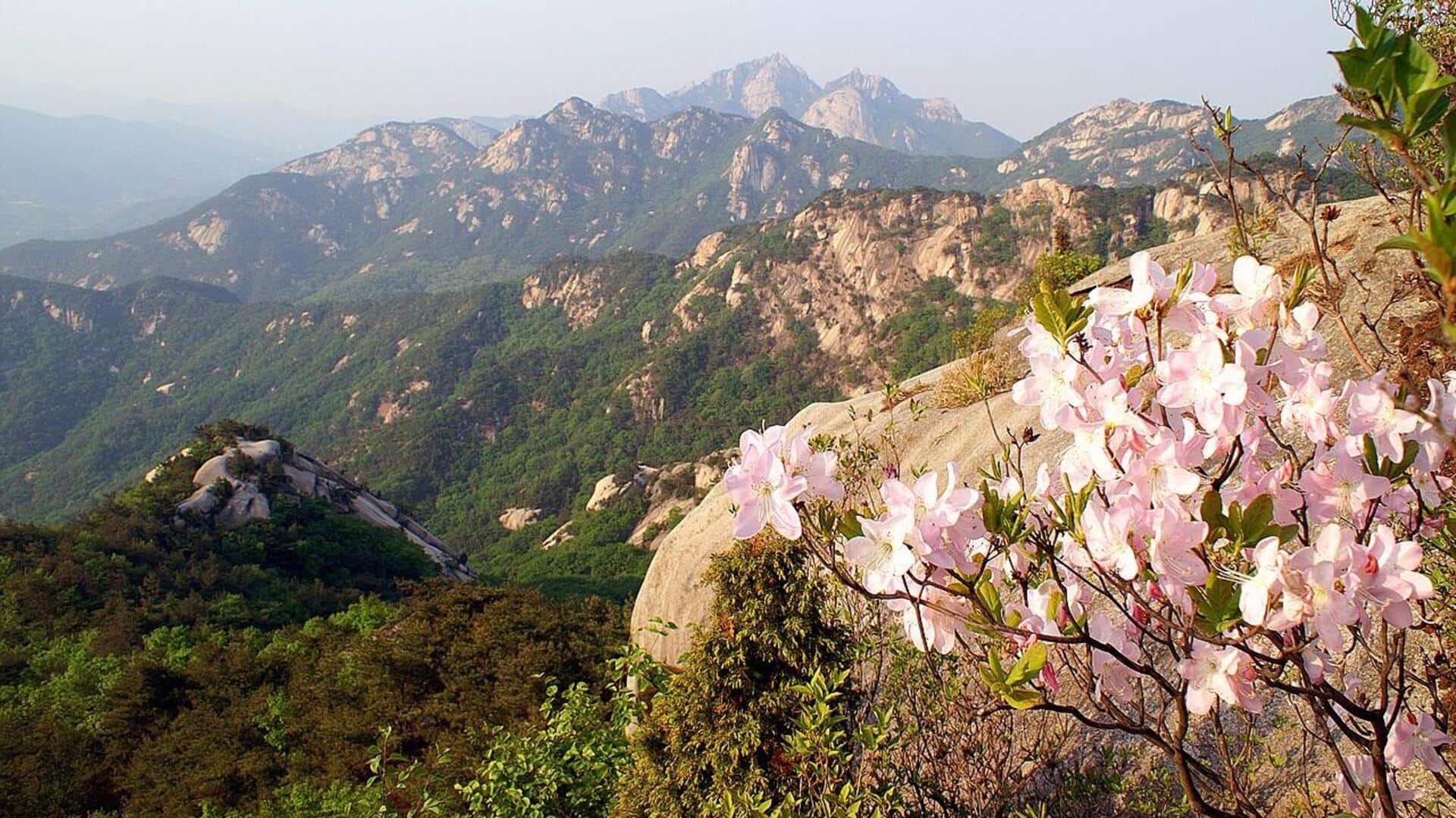 Taman-Taman yang Patut Dikunjungi di Seoul, Korea Selatan
