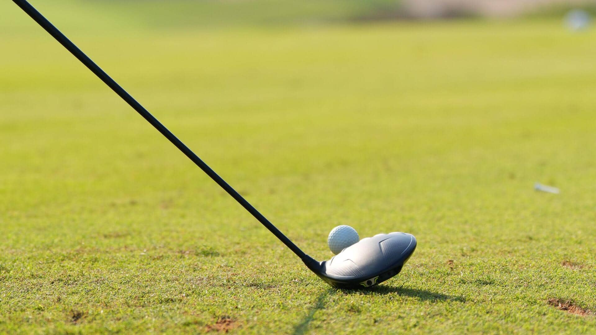 Mengapa pegolf memperbaiki bekas pitch di green?