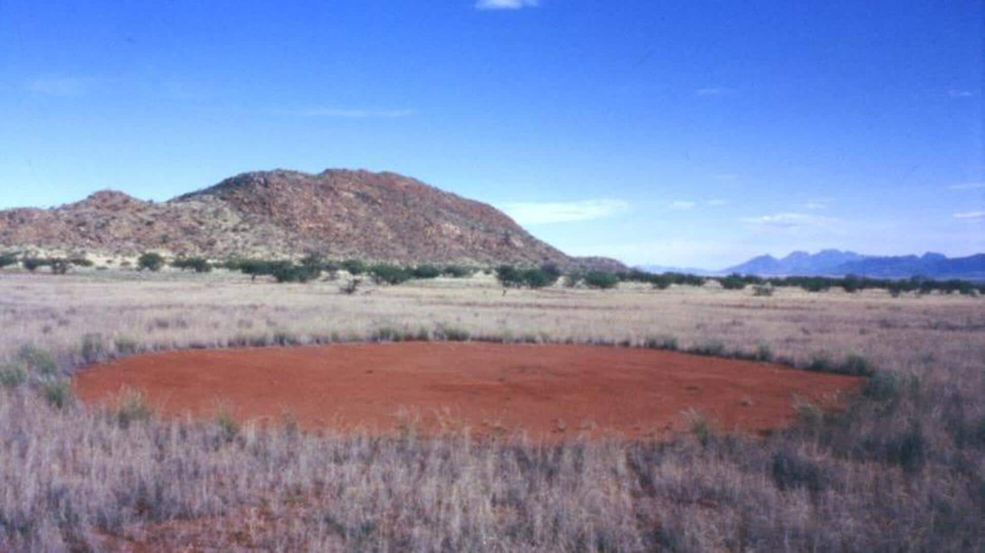 Menjelajahi Lingkaran Peri di Gurun Namib, Namibia