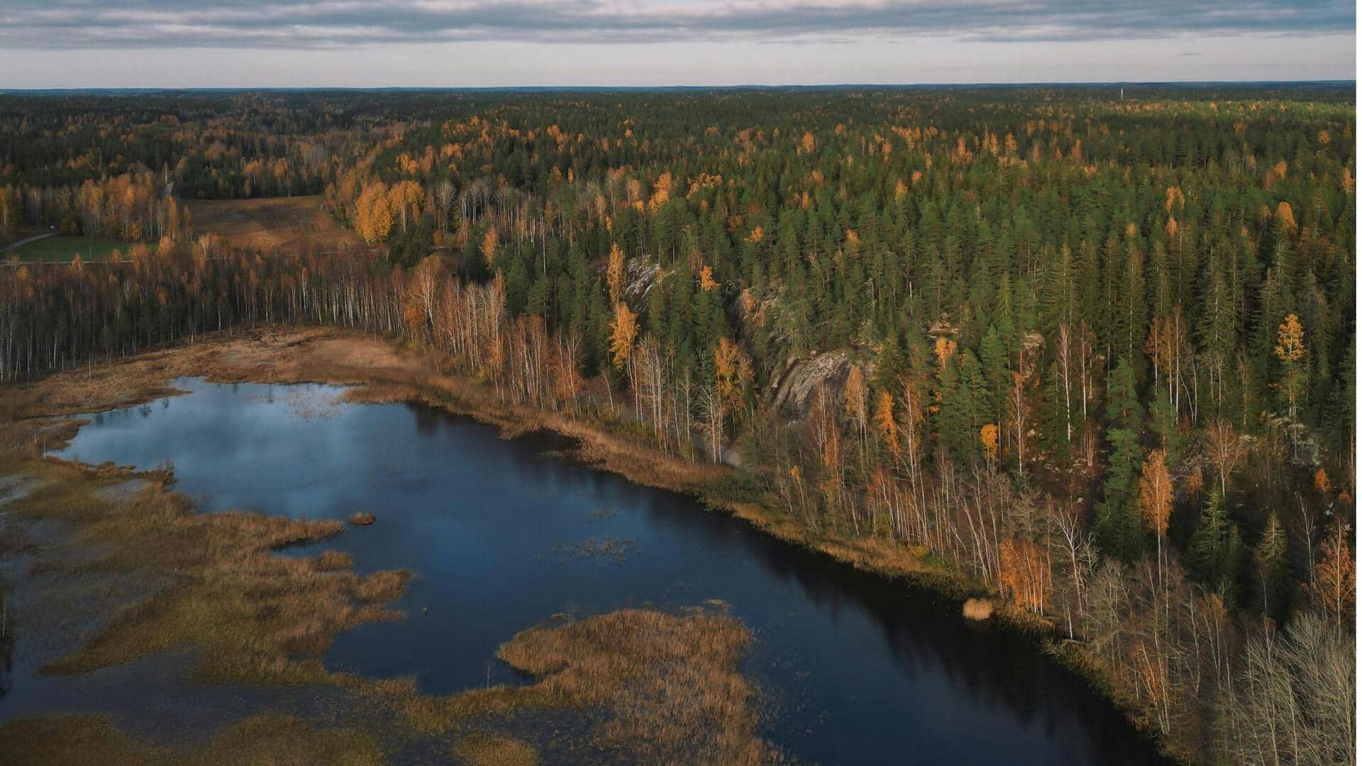Hutan Tenang Terbaik di Helsinki: Impian Pencinta Alam