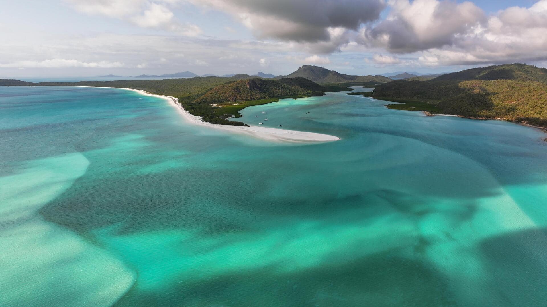 Menjelajahi Keindahan Hutan Hujan Cape Tribulation, Australia