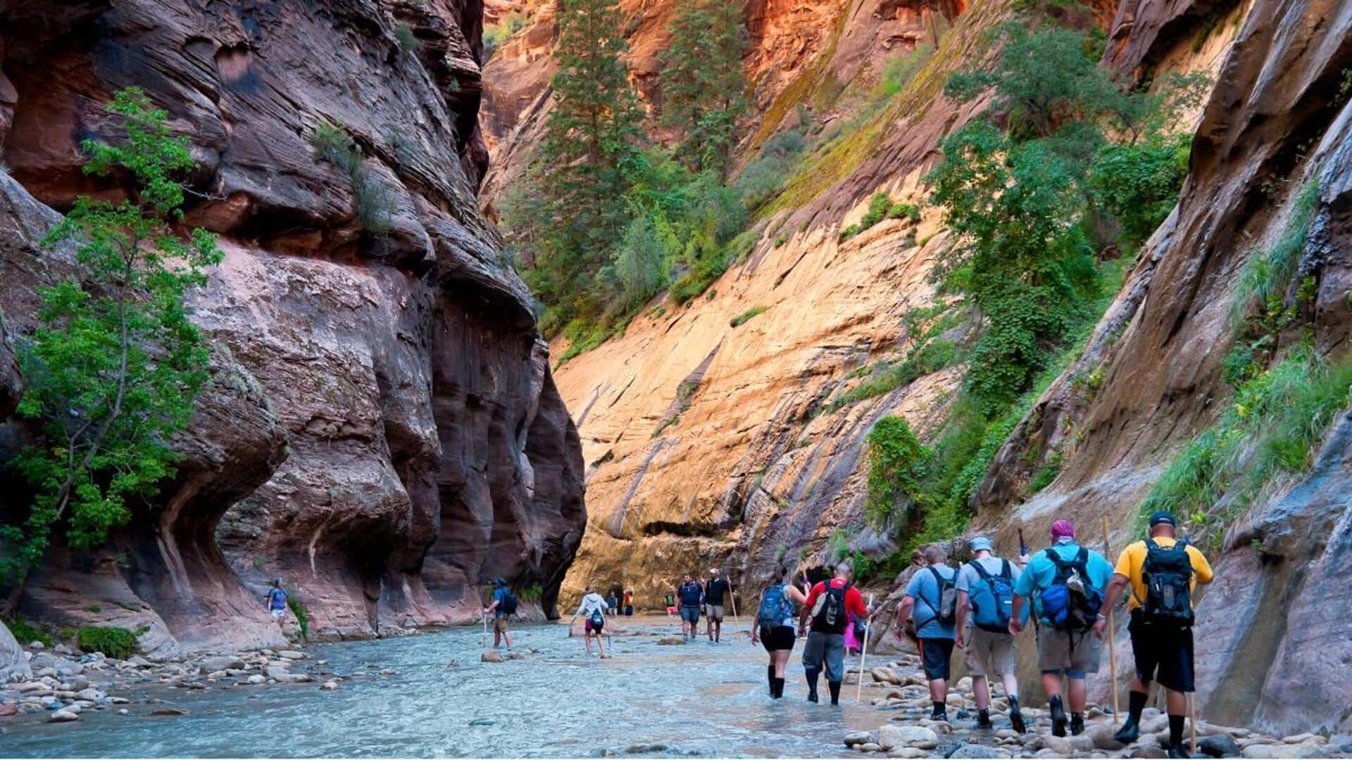 Daftar Barang Yang Wajib Dibawa Untuk Menjelajahi Zion National Park