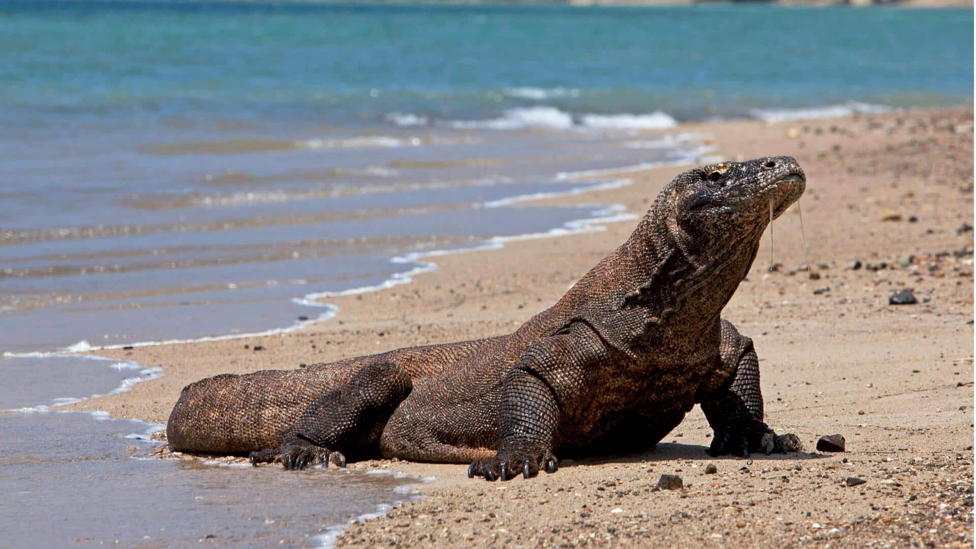 Cetak 3D: Revolusi dalam Konservasi Satwa Langka