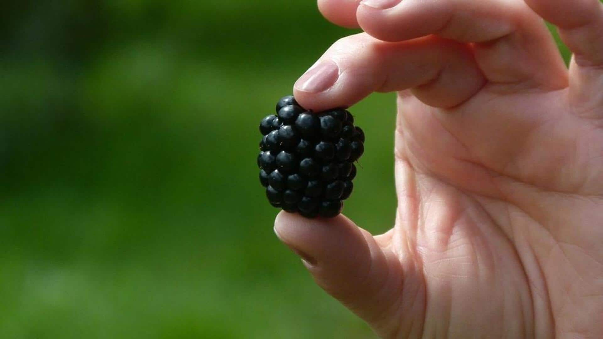 Keajaiban nutrisi dari buah Blackberry