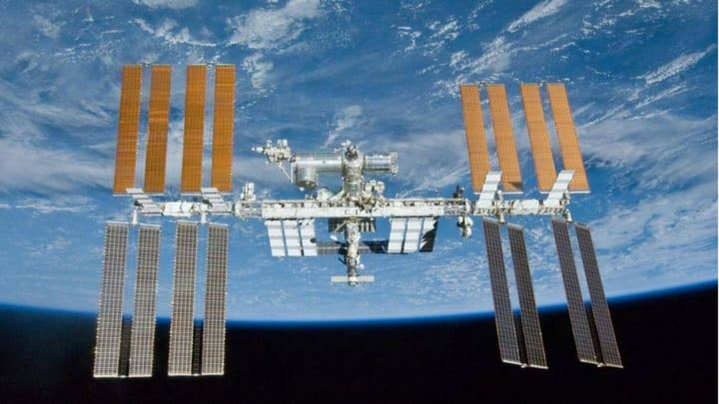 Beginilah cara para astronot menanam tomat di ISS