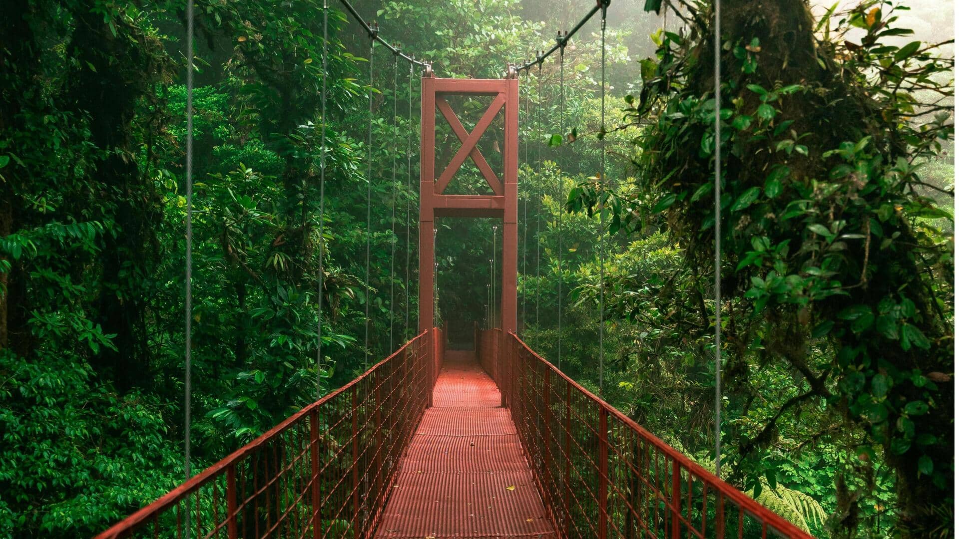 Menemukan Hutan Hujan Kosta Rika di Luar Taman Nasional Populer