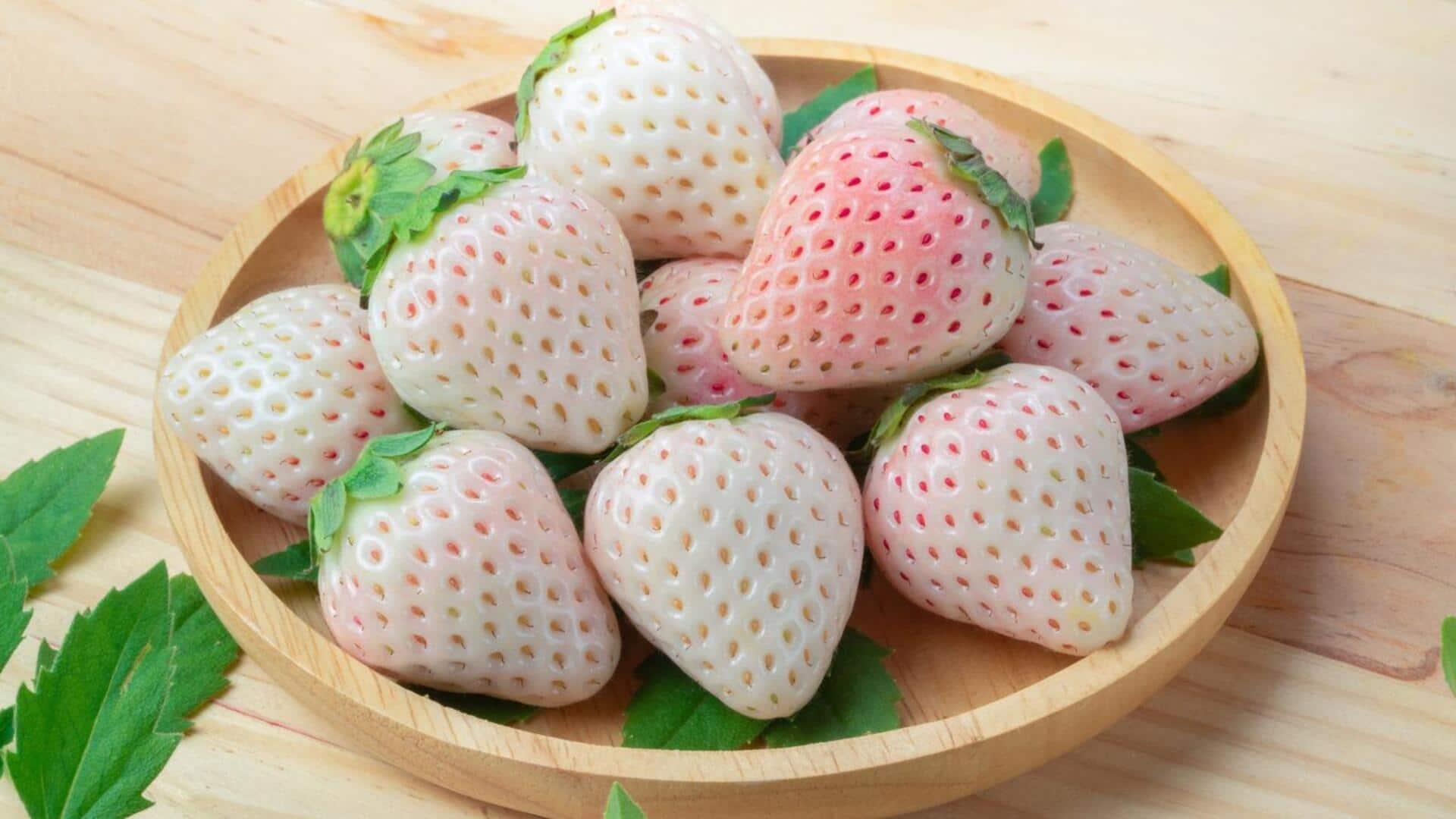 Pineberry: Menemukan Cita Rasa Tersembunyi dari Stroberi Putih
