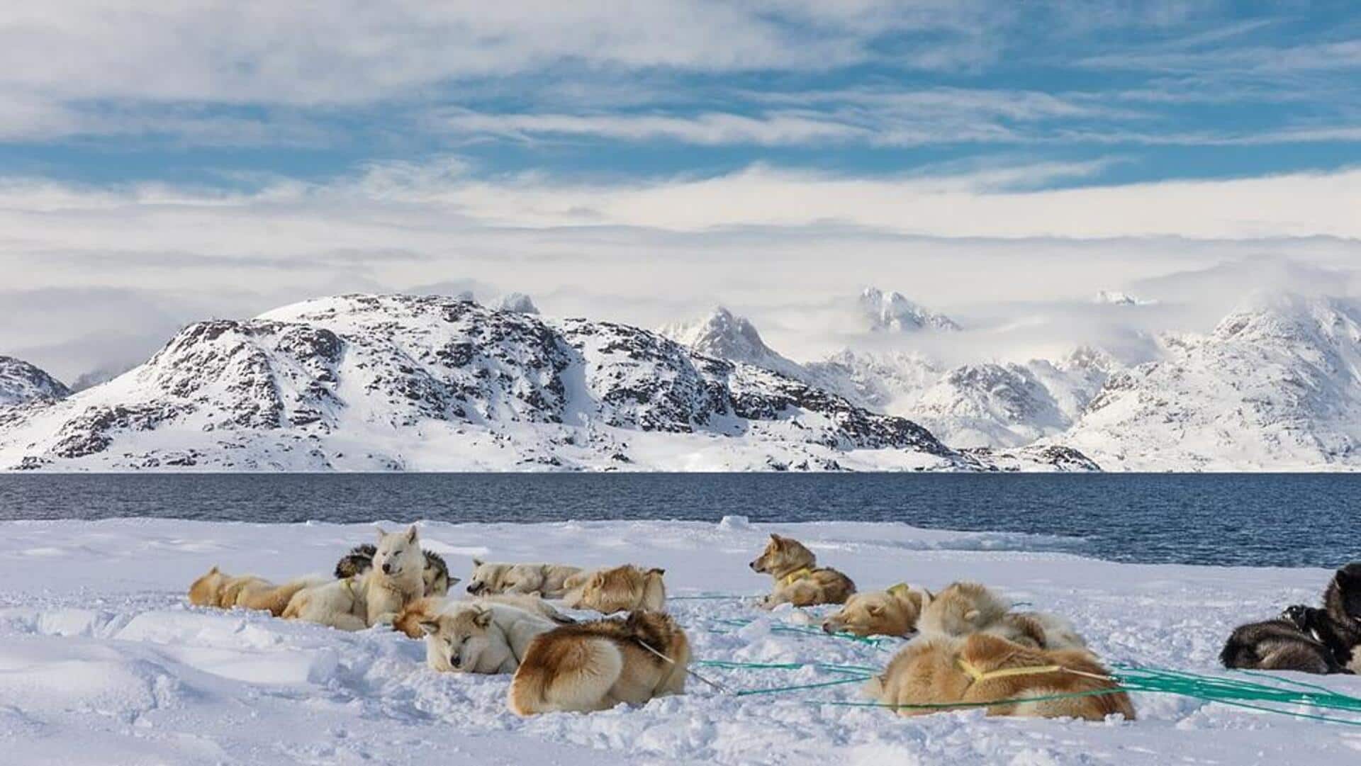 Merasakan Langsung Keindahan Alam Liar Greenland