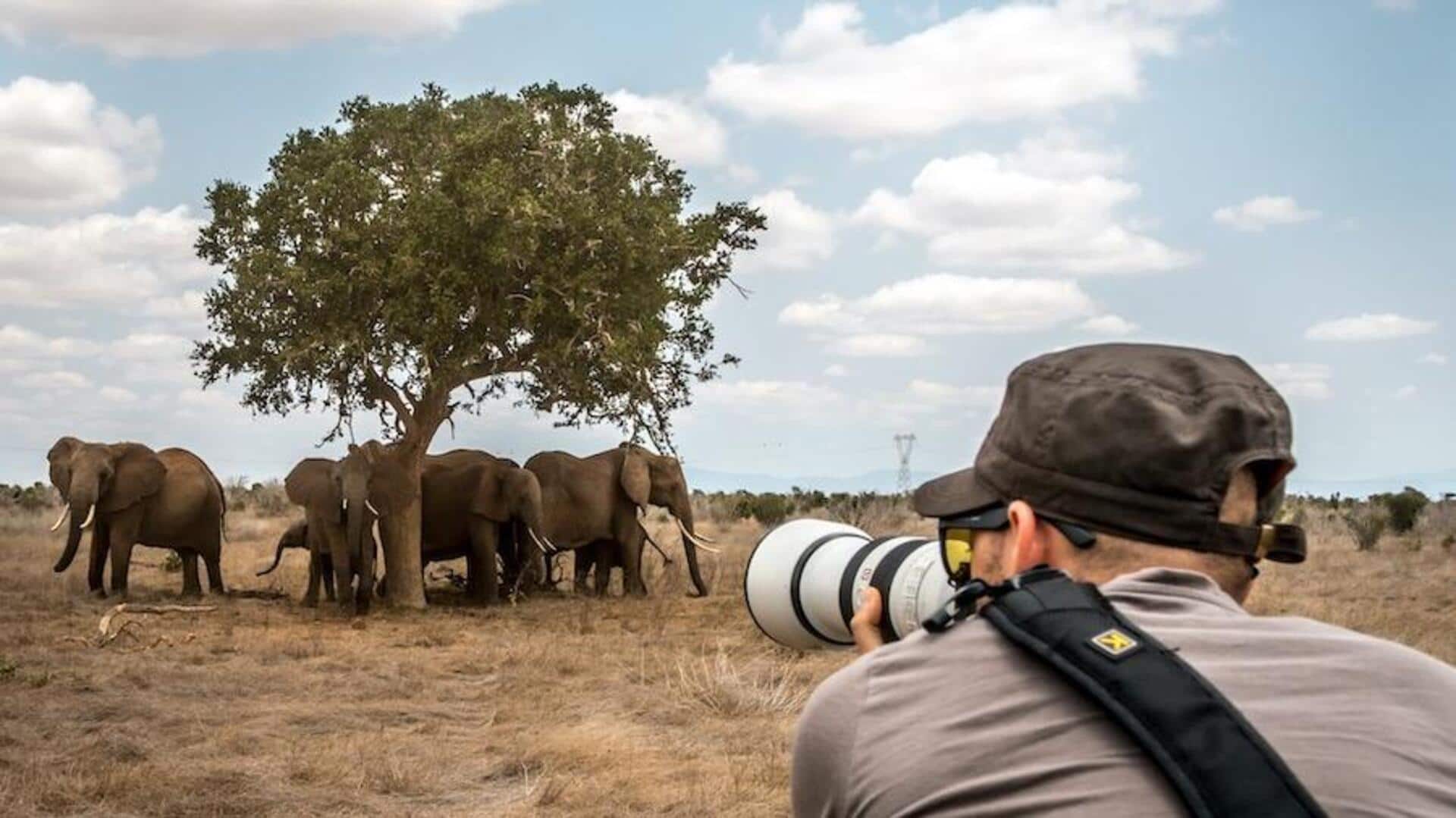 Menguasai Fotografi Satwa Liar dengan Peralatan Minimalis