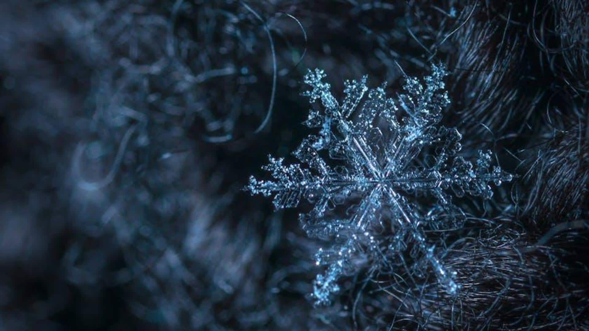 Lima Bentuk Unik Kristal Salju yang Mungkin belum Anda Ketahui