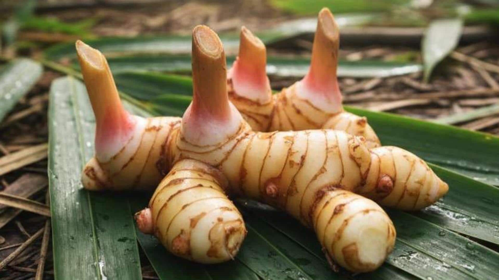 Menjelajahi Daya Tarik Herbal Bali dalam Berbagai Resep