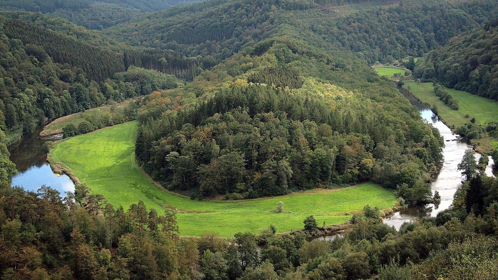 Menjelajahi Hutan Ardennes di Belgia