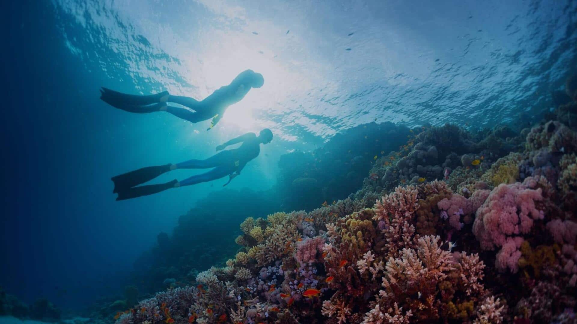 Daftar Barang yang Wajib Dibawa untuk Snorkeling di Puerto Rico